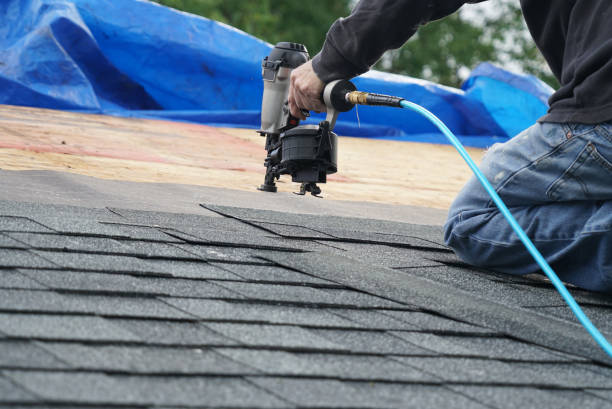 Roof Moss and Algae Removal in East Los Angeles, CA